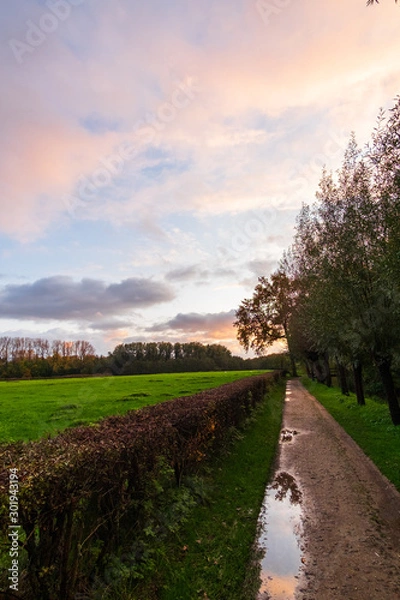 Obraz sunset road in the countryside