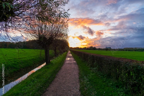 Obraz sunset in countryside