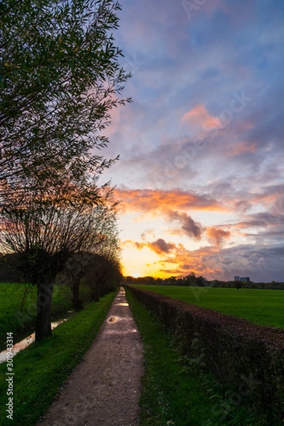 Obraz countryside road in the sunset