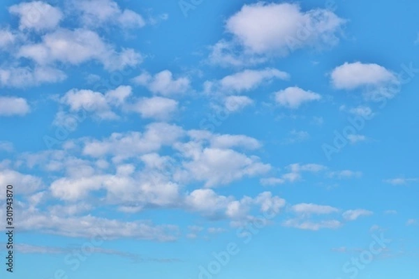 Obraz 空　雲　冬　杤木