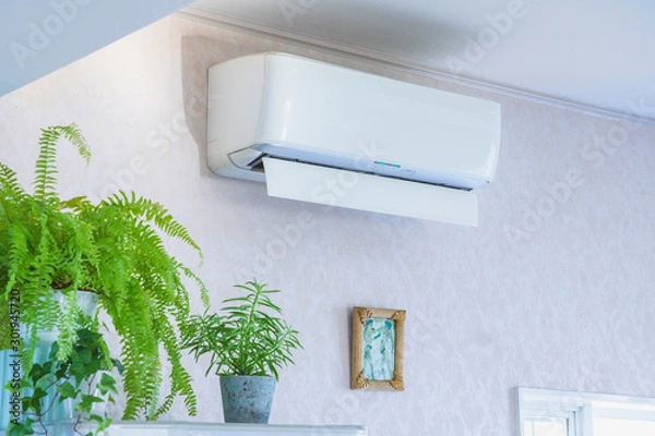 Obraz エアコンと観葉植物