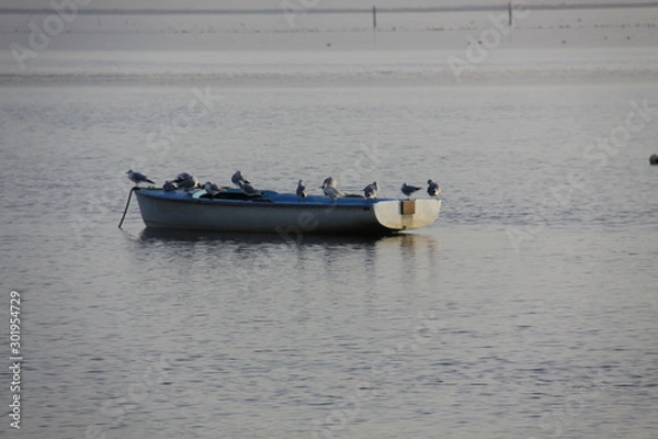 Obraz Bassin d'Arcachon