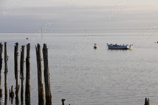 Obraz Bassin d'Arcachon