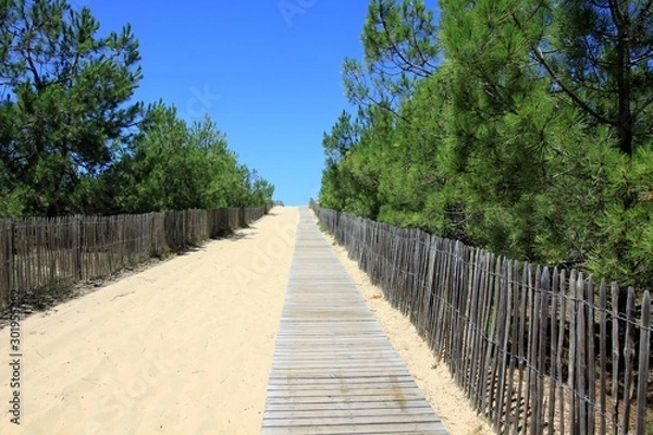 Obraz Au  bout du chemin