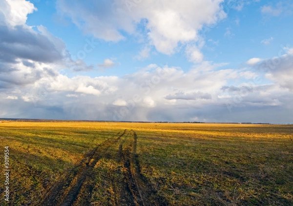 Fototapeta rural scene