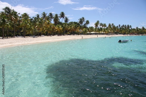 Obraz Plage tropicale