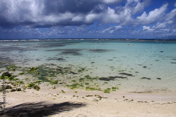 Obraz Nuances de bleus