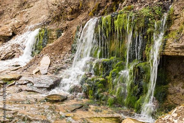 Fototapeta Natural textures. The spring flows from a steep rocky hillside. Early spring. Izborsk, Pskov region, Russia.