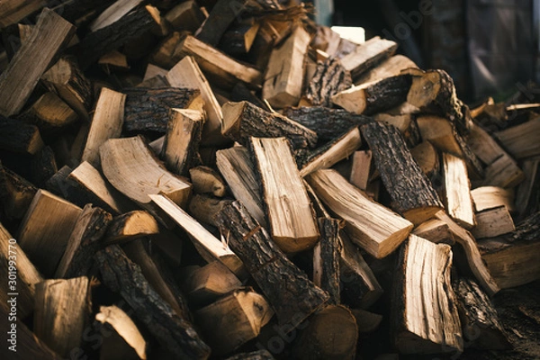 Fototapeta Pile of firewood on a heap. Coniferous and deciduous stacks of firewood. 
