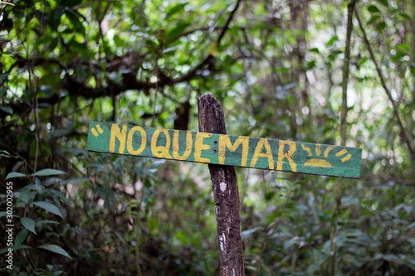 Obraz Green sign in forest
