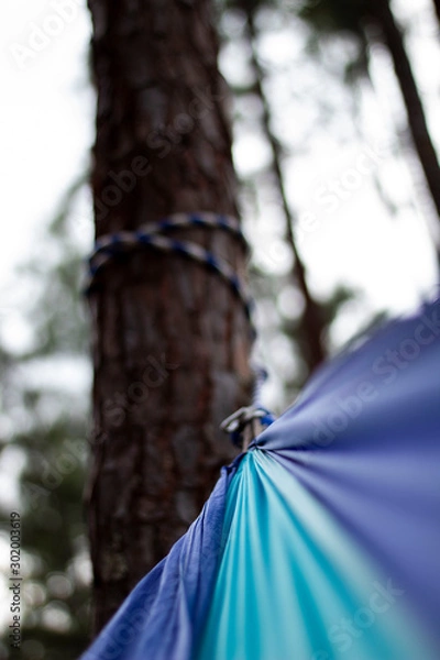Obraz Hammock on tree