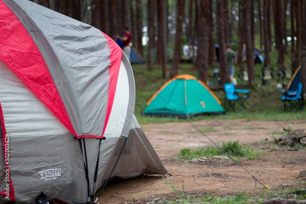 Obraz Tent in forest
