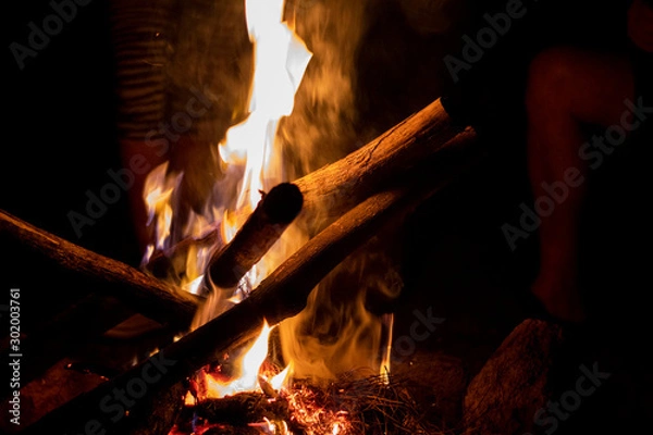 Obraz Fire in fireplace