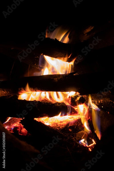 Obraz Fire in fireplace