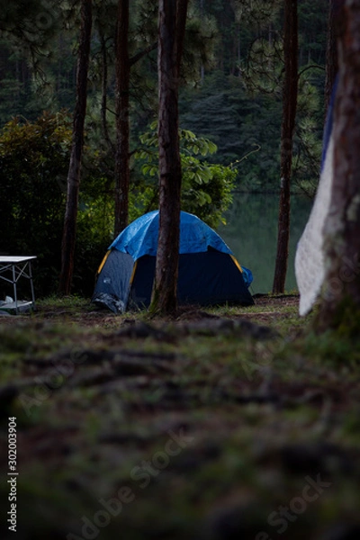 Obraz Tent in the forest