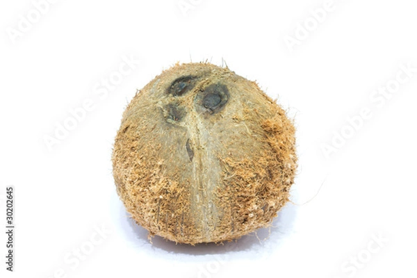 Obraz Coconut