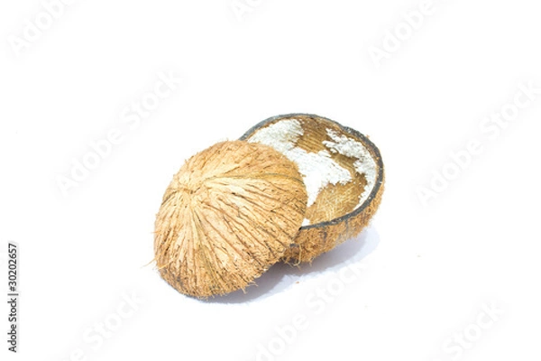 Obraz Coconut