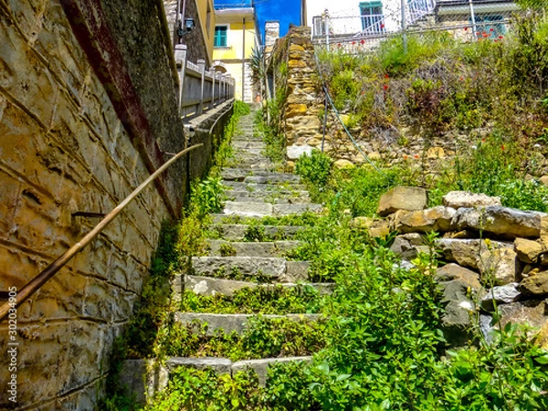 Obraz exploring the backtrails around the  Riomaggiore village which is a small village in the Liguria region of Italy.