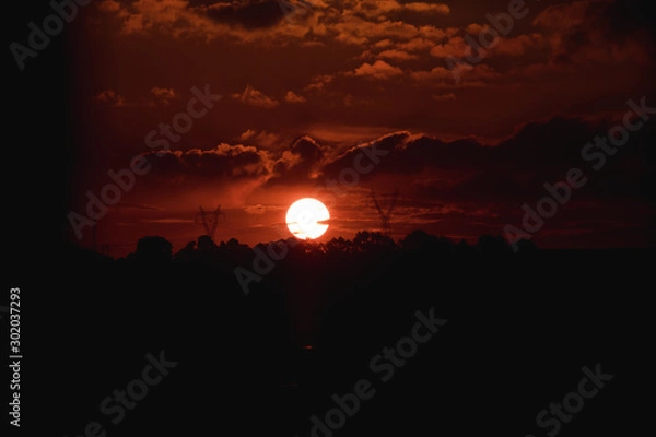 Obraz sunset in trees and silhouette