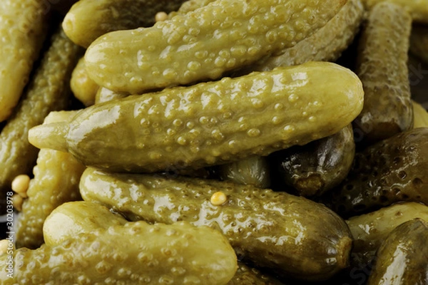 Fototapeta pickle cucumber