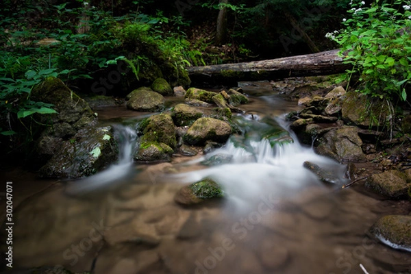 Obraz Serene Brook Flowing Through a Forest