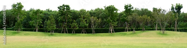 Fototapeta A large green lawn with forest in the background : illustration in classic brush style (jpeg)