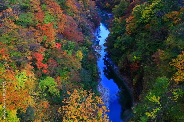 Fototapeta 紅葉の小安峡
