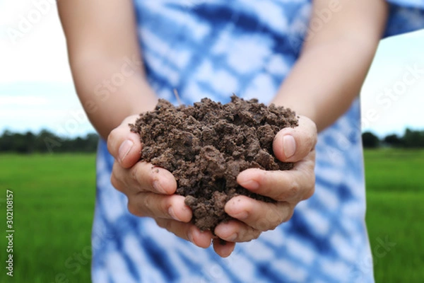 Fototapeta Handful of arable soil in hands of responsible farmer, close up, selective focus