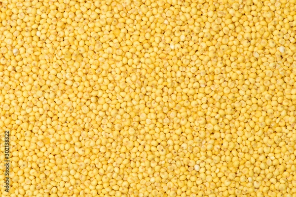 Obraz Millet yellow background