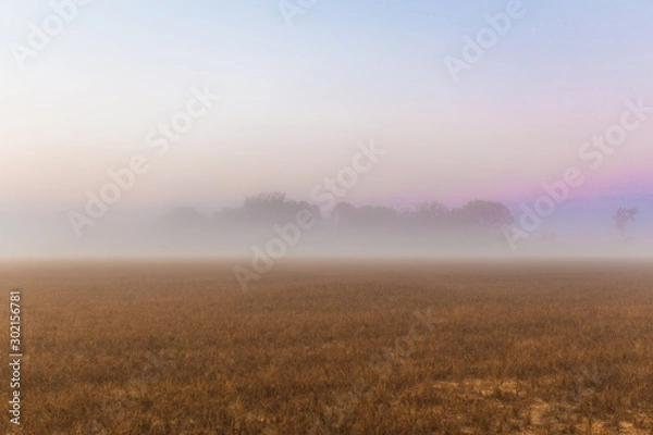 Fototapeta Nebel über einem Feld