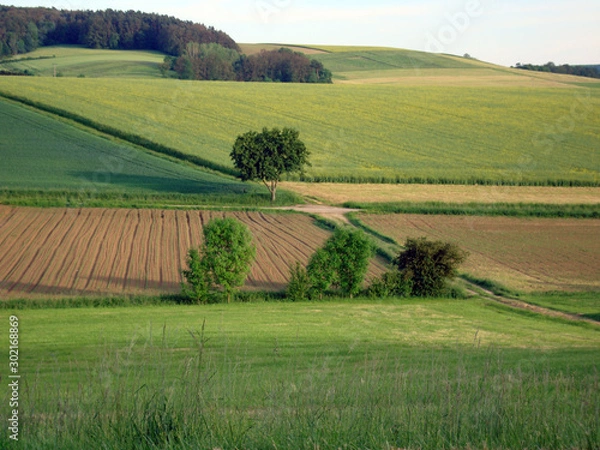 Obraz Fränkische Landschaft