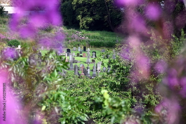 Obraz glasgow necropolis