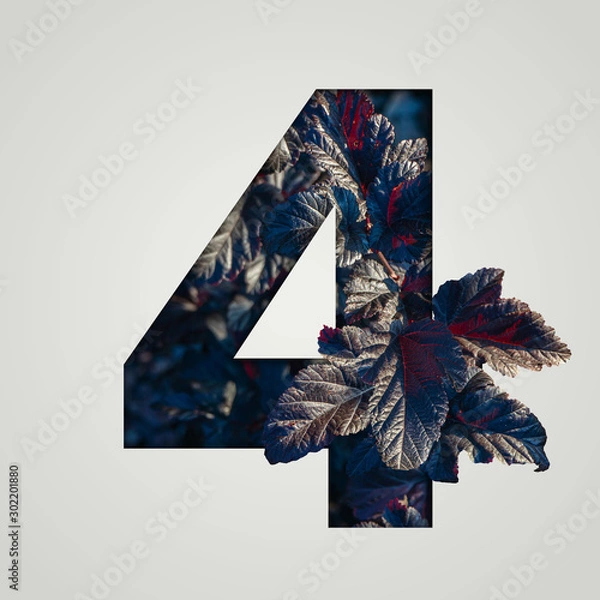 Fototapeta Nature concept. Creative number with autumn and burgundy leaves on a gray background. Creative typography, Chapter in the presentation, template. 4 number four.