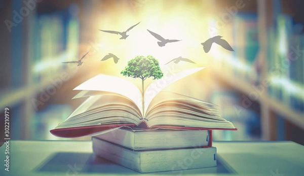 Obraz  The concept of education by planting knowledge trees and birds flying to the future to open old books in the library, beautiful blurred background