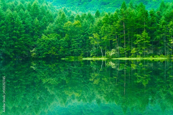 Obraz 緑萌える池、御射鹿池