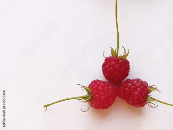 Obraz Ripe berries isolated on white