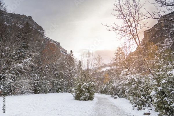 Fototapeta Ordesa National Valley in snowy autumn, located in Pyrenees Spain