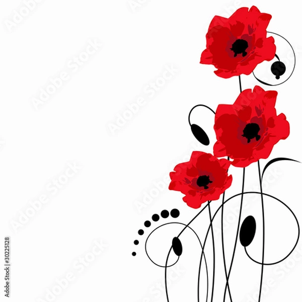 Obraz red poppies