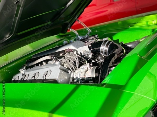 Obraz Green Envy
