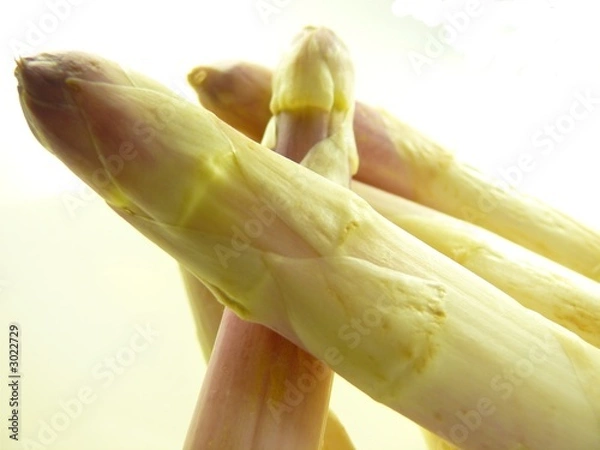 Obraz bouquet d'asperges 1