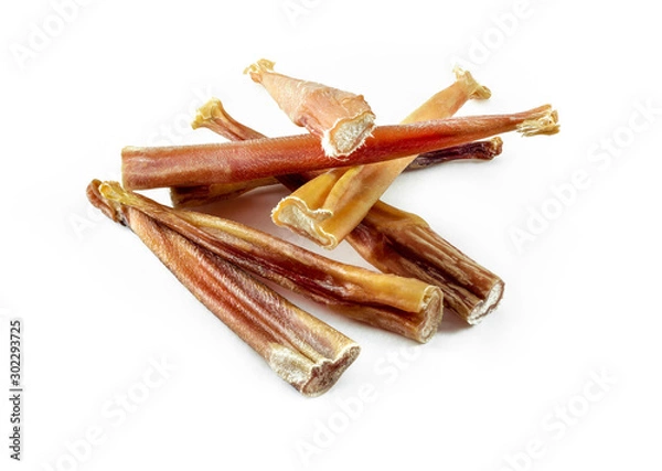 Obraz a group of natural dog teeth cleaning bully sticks on white background