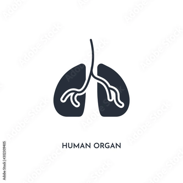 Fototapeta human organ icon. simple element illustration. isolated trendy filled human organ icon on white background. can be used for web, mobile, ui.