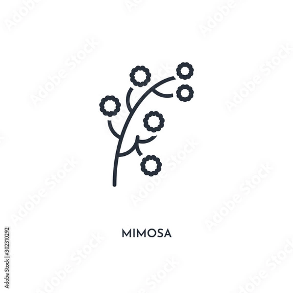 Fototapeta mimosa icon. simple element illustration. isolated trendy filled mimosa icon on white background. can be used for web, mobile, ui.