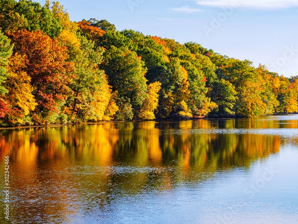 Obraz East coast autumn orange yellow red fall leaves lake reflections