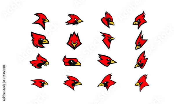 Fototapeta set of cardinal bird logo icon design vector