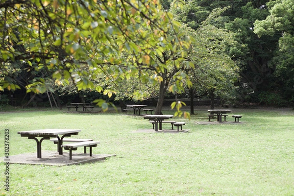 Fototapeta 公園、ベンチ