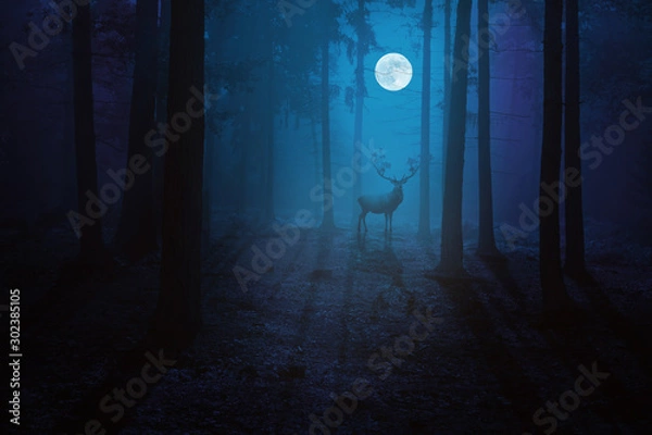 Obraz Blue Moonlit Forest