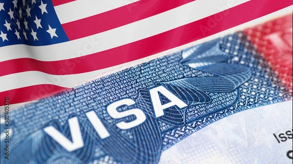 Obraz Visa stamp travel