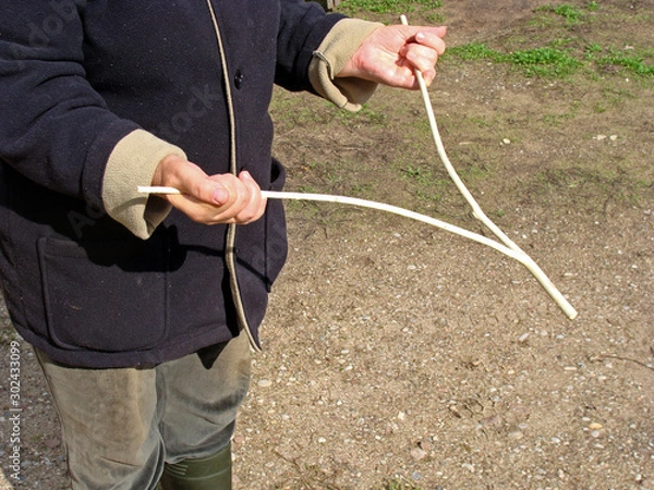 Obraz Water witching 3