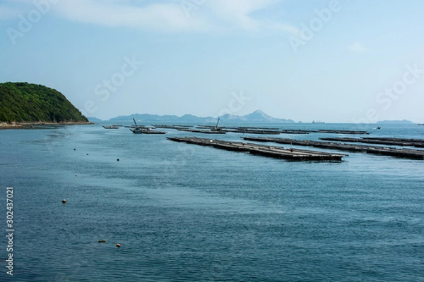 Obraz カキの養殖